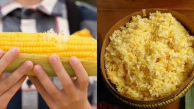 Nasi Jagung Organik Madura