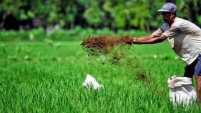 UMKM Pangan Organik Olah Hasil Tani Tanpa Bahan Tambahan