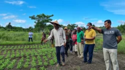 Mengenal Agroindustri dan Perannya dalam Perekonomian Lokal