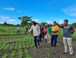 Mengenal Agroindustri dan Perannya dalam Perekonomian Lokal
