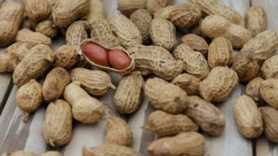Peran Kacang Tanah Tingkatkan Gizi Masyarakat Indonesia