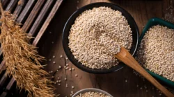 Quinoa Superfood Bernutrisi Tinggi untuk Kesehatan