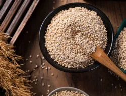 Quinoa Superfood Bernutrisi Tinggi untuk Kesehatan