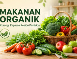 Makanan Organik Membantu Mengurangi Paparan Residu Pestisida Dalam Konsumsi Harian